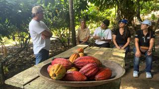 WhatsApp Image 2024-03-04 at 08.40.44