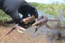 WhatsApp Image 2024-03-07 at 16.33.31 (1)