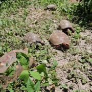 WhatsApp Image 2024-03-11 at 09.48.44 (1)