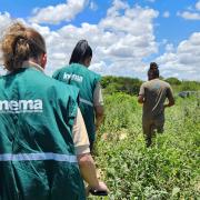 WhatsApp Image 2024-03-11 at 10.08.53