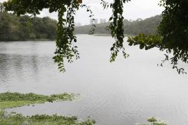 WhatsApp Image 2024-03-21 at 18.47.21