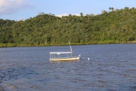 WhatsApp Image 2024-03-22 at 07.58.04