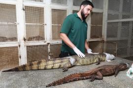 WhatsApp Image 2024-04-09 at 15.58.26