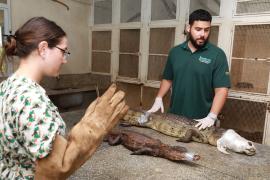 WhatsApp Image 2024-04-09 at 15.58.26(1)