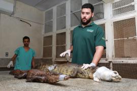 WhatsApp Image 2024-04-09 at 15.58.26(2)