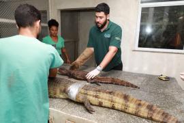 WhatsApp Image 2024-04-09 at 15.58.26(3)