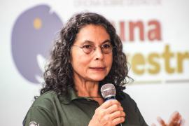 Oficina Sobre Fauna Silvestre (16)