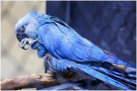 WhatsApp Image 2024-05-17 at 14.54.58 (1)