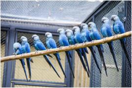 WhatsApp Image 2024-05-17 at 14.54.58 (2)