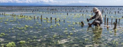 restauracao-ecossistemas