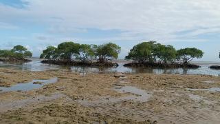 APA das Ilhas de Tinharé Boipeba