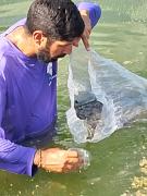 WhatsApp Image 2024-06-03 at 13.56.16