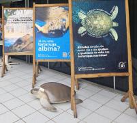 WhatsApp Image 2024-06-05 at 16.13.44 (2)