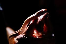 WhatsApp Image 2024-08-01 at 10.50.51