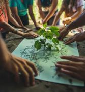 WhatsApp Image 2024-08-19 at 3.42.49 PM