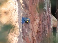 WhatsApp Image 2024-09-13 at 09.56.06