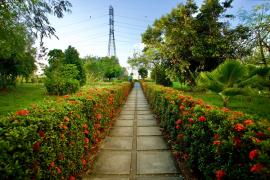 WhatsApp Image 2024-09-19 at 17.25.21(1)