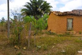 WhatsApp Image 2024-09-26 at 13.00.24 (1)