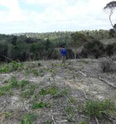 WhatsApp Image 2024-09-27 at 18.12.20 (1)