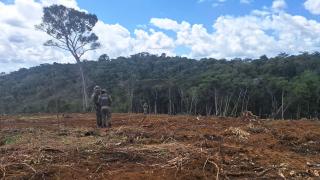 WhatsApp Image 2024-09-27 at 18.12.21 (1)