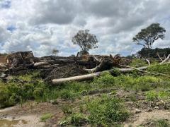 WhatsApp Image 2024-09-27 at 18.12.23