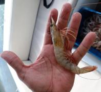 TimePhoto_20240924_082835