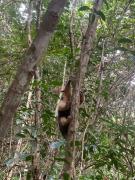 WhatsApp Image 2024-10-11 at 16.18.28 (1)