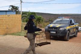 WhatsApp Image 2024-10-15 at 19.12.40 (1)