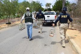 WhatsApp Image 2024-10-15 at 19.12.41 (3)