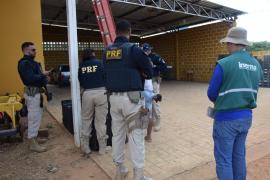 WhatsApp Image 2024-10-15 at 19.12.41