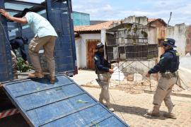 WhatsApp Image 2024-10-15 at 19.13.15 (2)