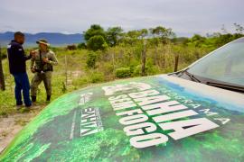 WhatsApp Image 2024-10-31 at 16.16.45(2)