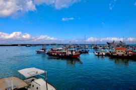 WhatsApp Image 2024-10-31 at 17.33.06 (1)