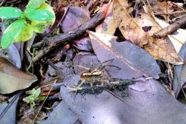 eac7570a-ce19-4094-ab9f-03e4e376c6c0