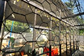 original-747C8571-FBC8-440C-8926-EF9CA6BA3765