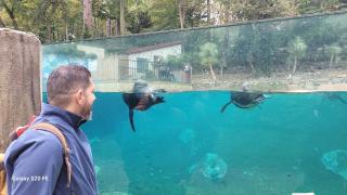 WhatsApp Image 2024-11-04 at 09.04.35 (1)