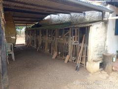 WhatsApp Image 2024-11-08 at 15.47.20