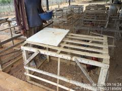 WhatsApp Image 2024-11-08 at 15.48.17