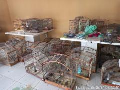 WhatsApp Image 2024-11-08 at 15.49.00