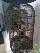 TimePhoto_20241205_062713