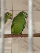 TimePhoto_20241205_092943