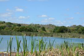 WhatsApp Image 2024-12-16 at 15.31.26