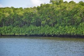 WhatsApp Image 2024-12-18 at 09.45.03 (2)