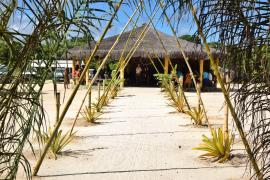 WhatsApp Image 2024-12-20 at 14.51.37