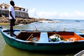 52665570703_c03aa11130_o