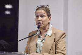 Seminário Bahia Sem Fogo - Dia 1 (14)