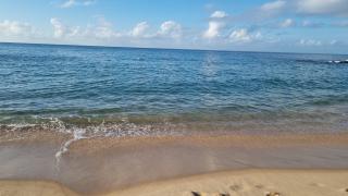 WhatsApp Image 2024-08-23 at 14.01.20_0