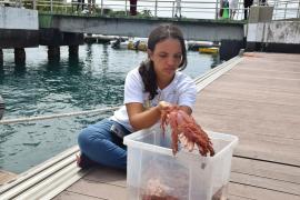 WhatsApp Image 2025-01-08 at 15.31.18 (3)