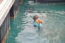 WhatsApp Image 2025-01-08 at 15.31.18 (6)