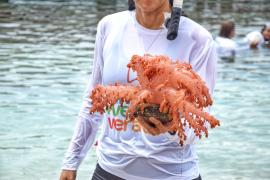 WhatsApp Image 2025-01-15 at 17.41.54